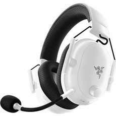 이거 좋더라구요 레이저블랙샤크V2PRO 인기 제품 베스트 10