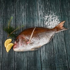 경제적인 참돔 추천 정보 리스트 10