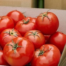 할인정보 특품토마토 최저가 제품 BEST 10
