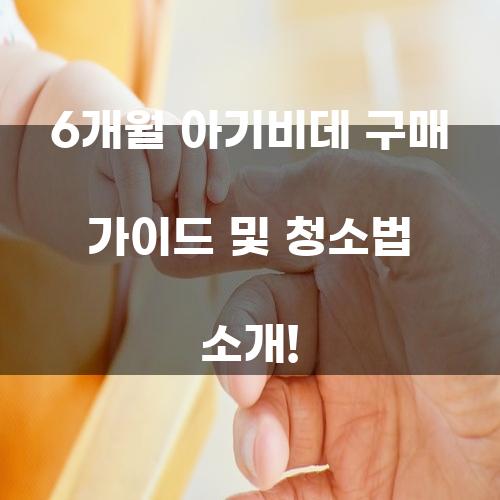 6개월 아기비데 구매 가이드 및 청소법 소개