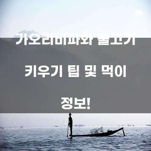 가오리비파와 물고기 키우기: 팁과 먹이 정보