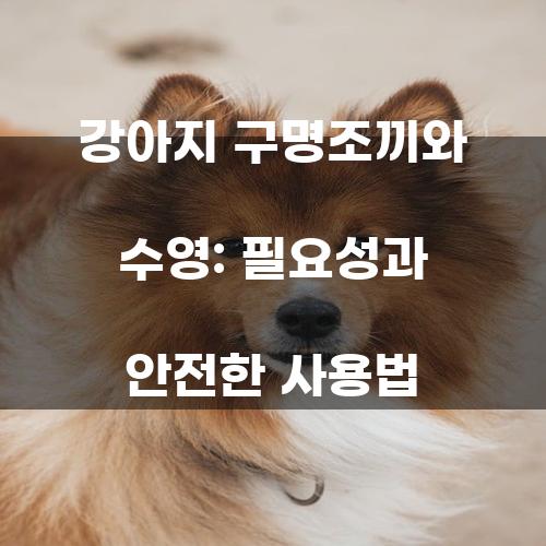 강아지 구명조끼와 수영: 필요성과 안전한 사용법