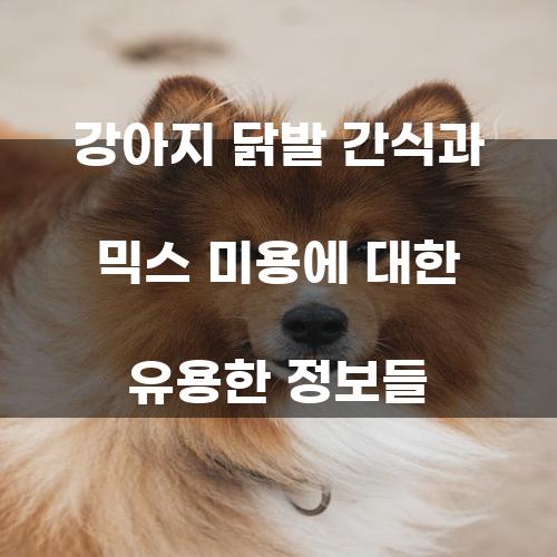 강아지 닭발 간식 및 믹스 미용에 대한 유용한 정보