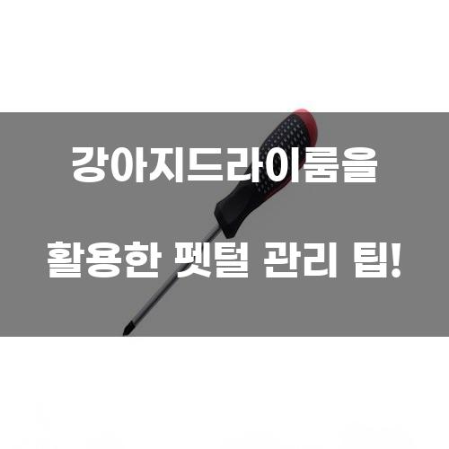 강아지드라이룸을 활용한 펫털 관리 팁!
