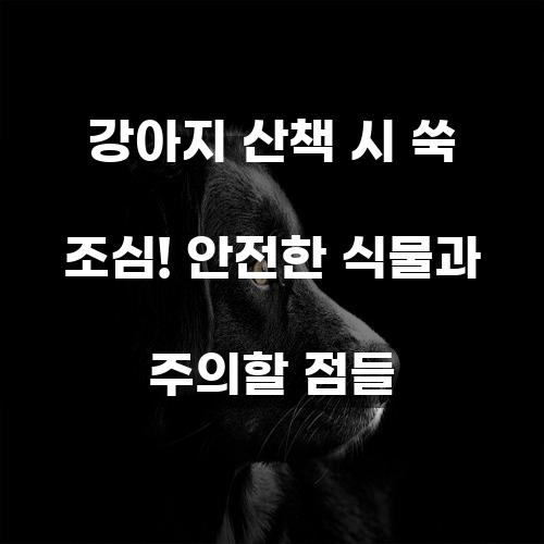 강아지 산책 시 쑥 조심! 안전한 식물과 주의할 점들