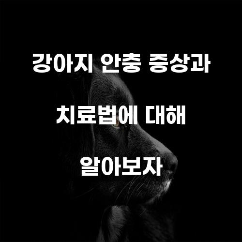 강아지 안충 증상과 치료법에 대해 알아보자