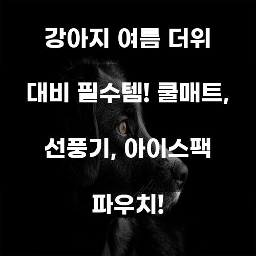 강아지 여름 더위 대비 필수템! 쿨매트, 선풍기, 아이스팩 파우치!