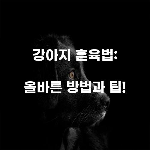 강아지 훈육법: 올바른 방법과 팁!