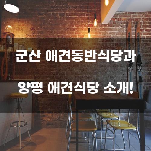 군산 애견동반식당과 양평 애견식당 소개!