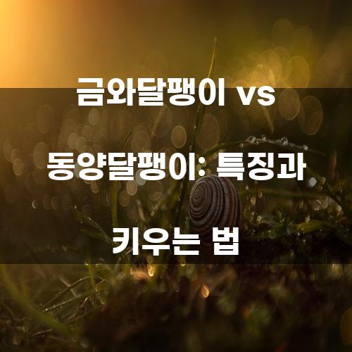 금와달팽이 vs 동양달팽이: 특징과 키우는 법