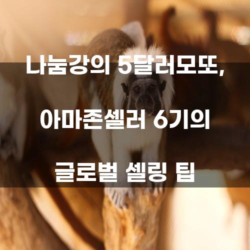 나눔강의 5달러모또, 아마존셀러 6기의 글로벌 셀링 팁