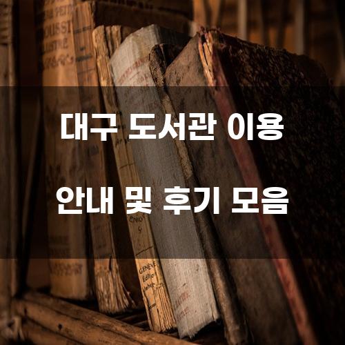 대구 도서관 이용 안내