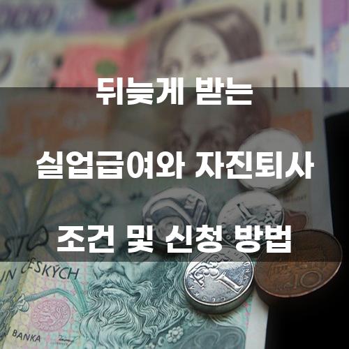 뒤늦게 받는 실업급여와 자진퇴사 조건 및 신청 방법