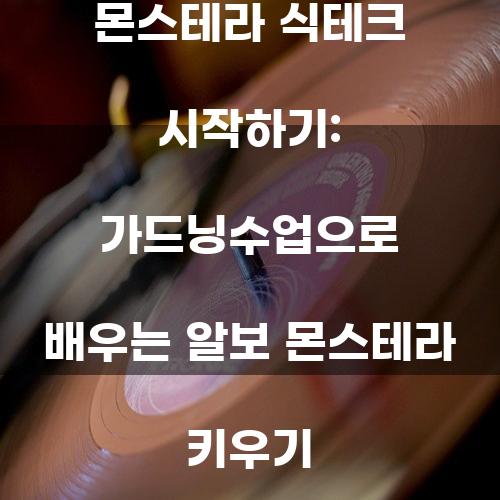 몬스테라 식테크 시작하기: 가드닝수업으로 배우는 알보 몬스테라 키우기
