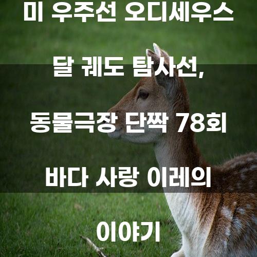 미 우주선 오디세우스 달 궤도 탐사선