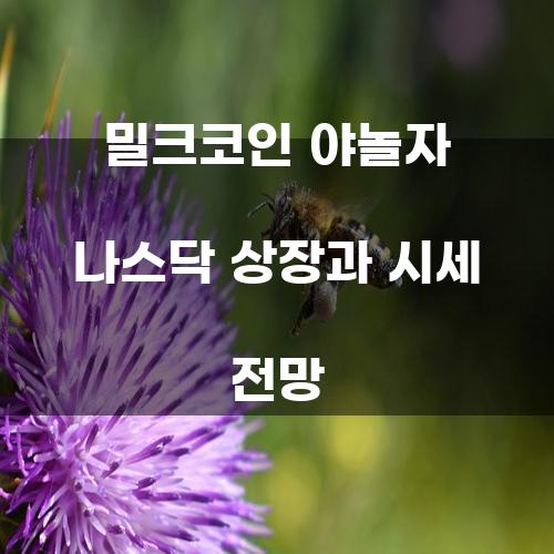 밀크코인 야놀자 나스닥 상장과 시세 전망