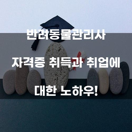 반려동물관리사 자격증 취득과 취업에 대한 노하우!