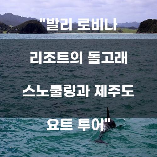 발리 로비나 리조트의 돌고래 스노쿨링과 제주도 요트 투어