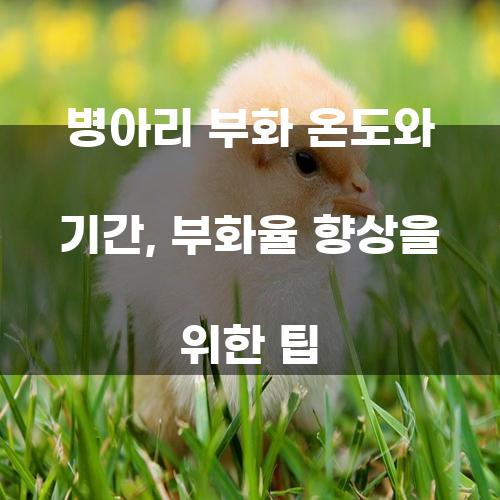 병아리 부화 온도와 기간, 부화율 향상을 위한 팁