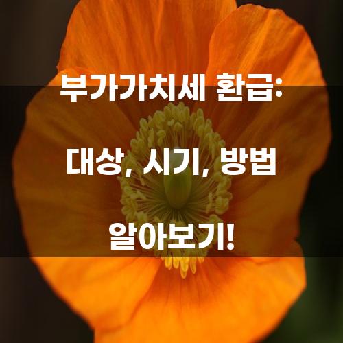 부가가치세 환급: 대상, 시기, 방법 알아보기!