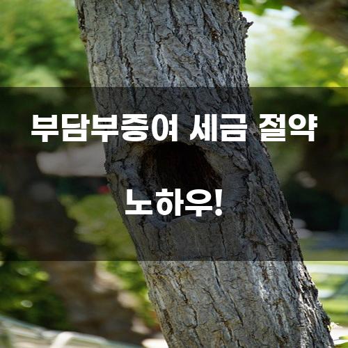 부담부증여 세금 절약 노하우!