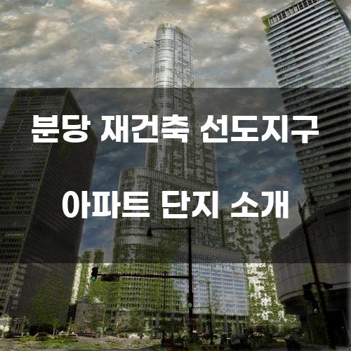 분당 재건축 선도지구 아파트 단지 소개
