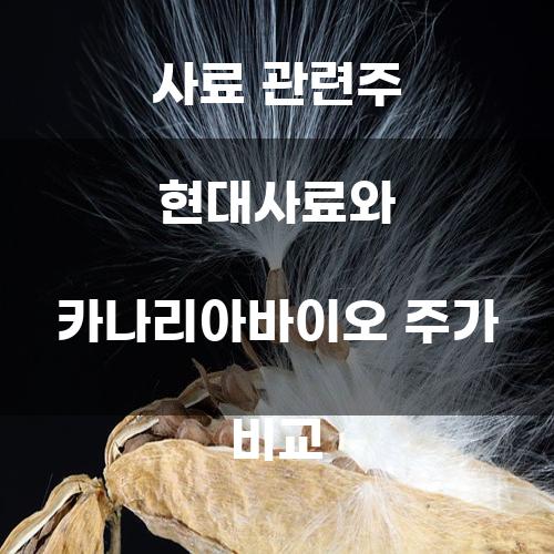 사료 관련주 현대사료와 카나리아바이오 주가 비교