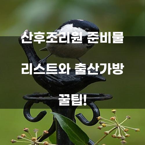 산후조리원 준비물 리스트와 출산가방 꿀팁!