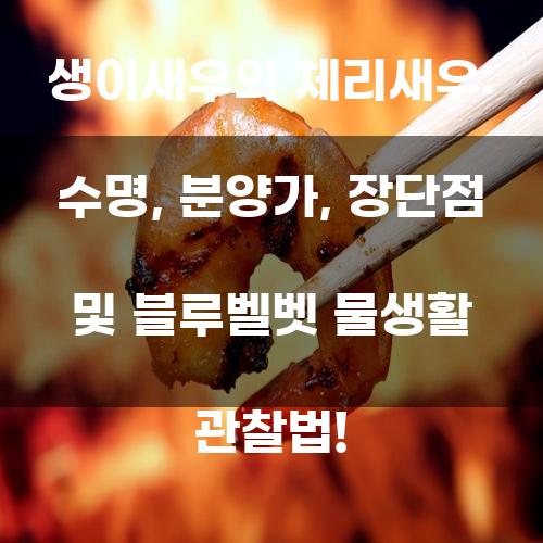 생이새우와 체리새우: 물생활의 매력적인 친구들