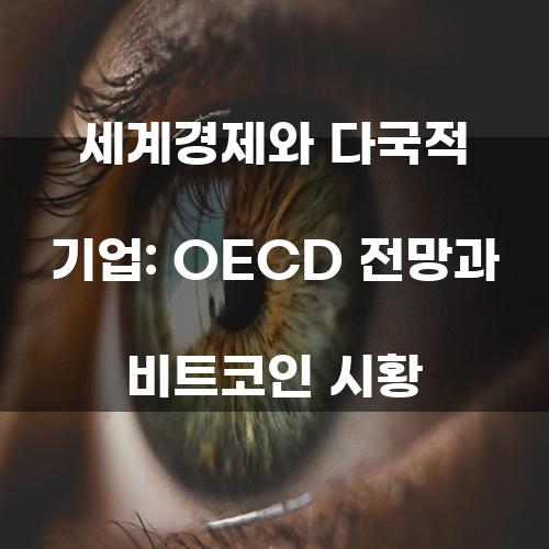세계경제와 다국적 기업: OECD 전망과 비트코인 시황