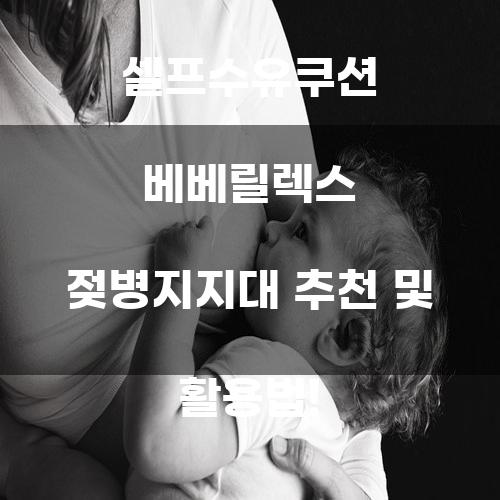 셀프수유쿠션 베베릴렉스 젖병지지대 추천 및 활용법!