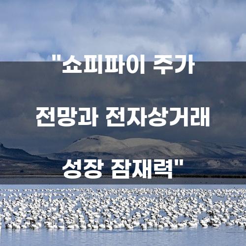 쇼피파이 주가 전망과 전자상거래 성장 잠재력