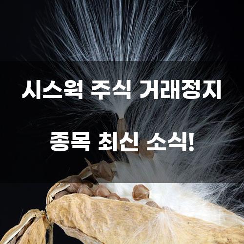 최신 시스웍 주식 거래정지 종목 소식