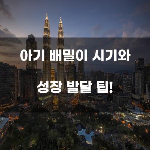 아기 배밀이 시기와 성장 발달 팁!