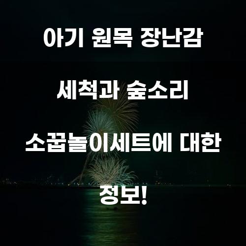 아기 원목 장난감 세척과 숲소리 소꿉놀이세트