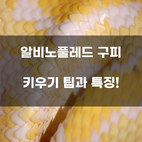 알비노풀레드 구피 키우기 팁과 특징!