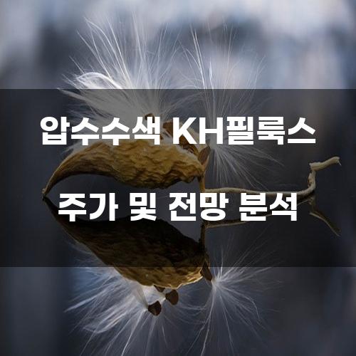 압수수색 KH필룩스 주가 및 전망 분석