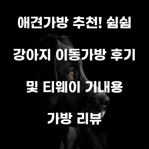 애견가방 추천! 쉼쉼 강아지 이동가방 후기 및 티웨이 기내용 가방 리뷰