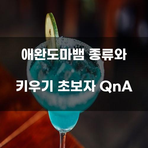 애완도마뱀 종류와 키우기 초보자 QnA
