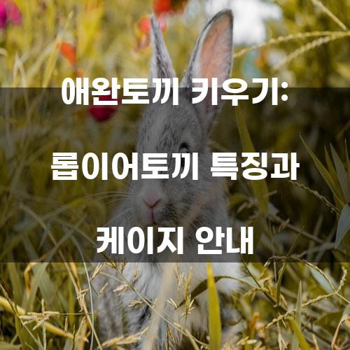 애완토끼 키우기: 롭이어토끼 특징과 케이지 안내
