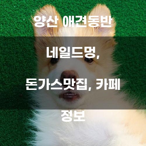 양산 애견동반 네일드멍