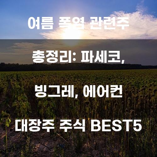 여름 폭염 관련주 총정리: 파세코, 빙그레, 에어컨 대장주 주식 BEST5