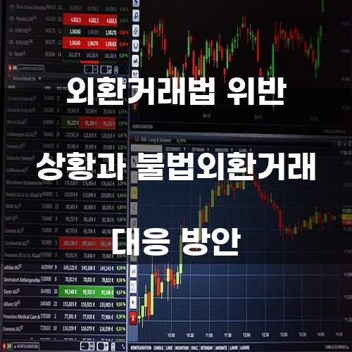 외환거래법 위반 상황과 불법외환거래 대응 방안