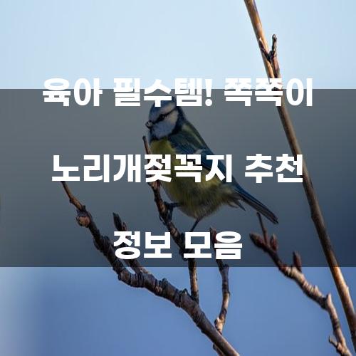 육아 필수템! 쪽쪽이 노리개젖꼭지 추천 정보 모음
