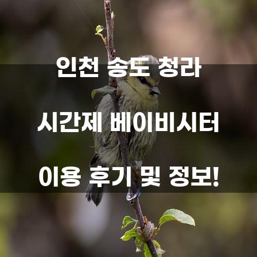 인천 송도 청라 시간제 베이비시터 이용 후기 및 정보!