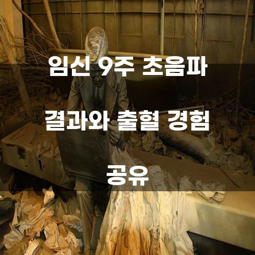 임신 9주 초음파 결과와 출혈 경험 공유