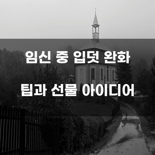 임신 중 입덧 완화 팁과 선물 아이디어