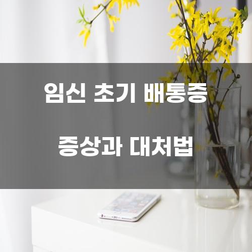 임신 초기 배통증 증상과 대처법