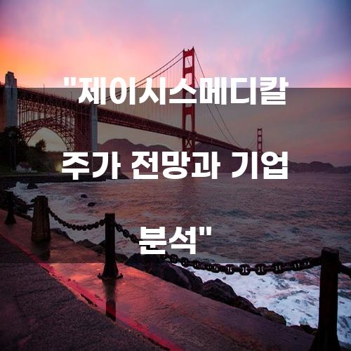 제이시스메디칼 주가 전망과 기업 분석