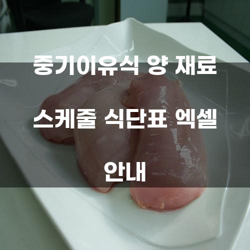 중기이유식 양 재료 스케줄 식단표 엑셀 안내